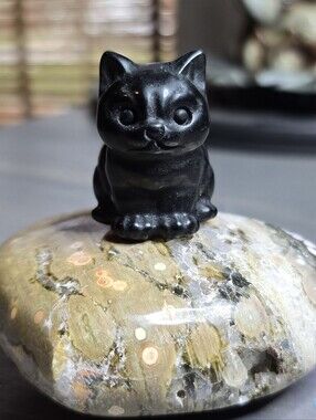 Onyx Cat